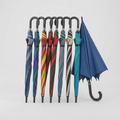 Classic J Handle Long Umbrella